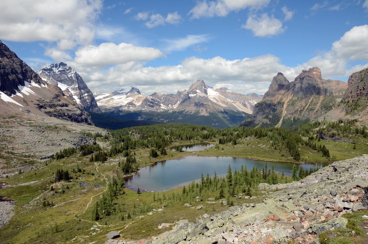 49 Hungabee Lake, Odaray Mountain, Mount Stephen, Cathedral Mountain and Vanguard Peak, Wiwaxy Peaks From Opabin Highline Trail Near Lake O-Hara